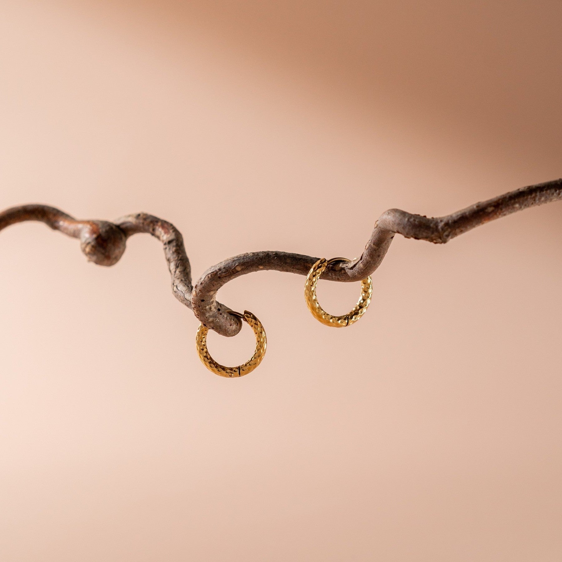 Noa Hoop Earrings